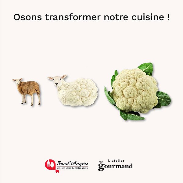 [ OSONS ] À l’occasion du festival @food_angers 2023 🍎 Osons transformer notre cuisine, à L’atelier Gourmand ! 🍽

La...